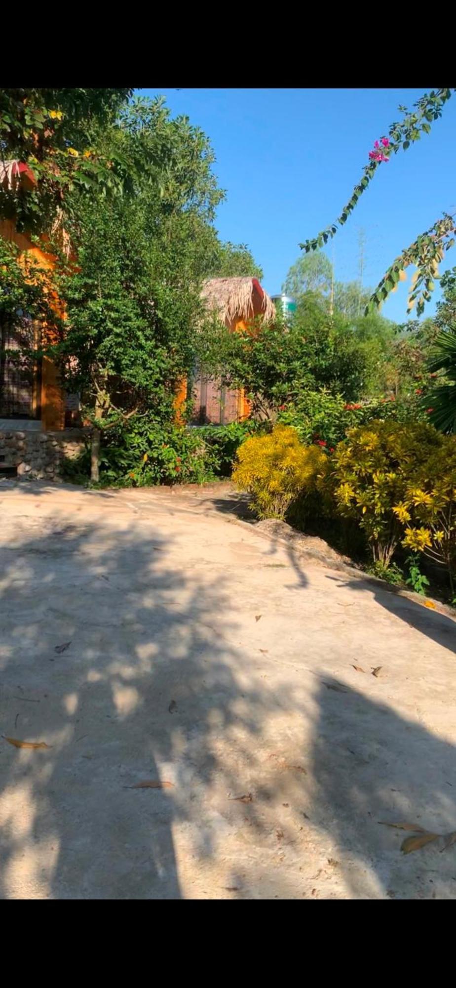 Homestay Nha Cua Mi - Mi'S House Yen Bai Eksteriør bilde